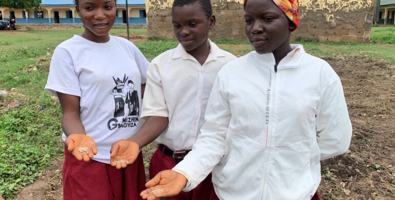 Reducing Carbon Footprint; Integrating Climate Education in Schools